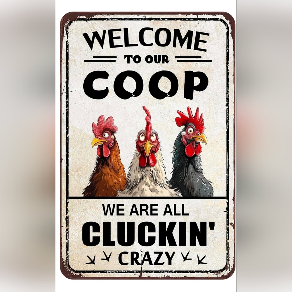Chicken Coop Funny Chicken Sign Rooster Decorations Chicken Stuff